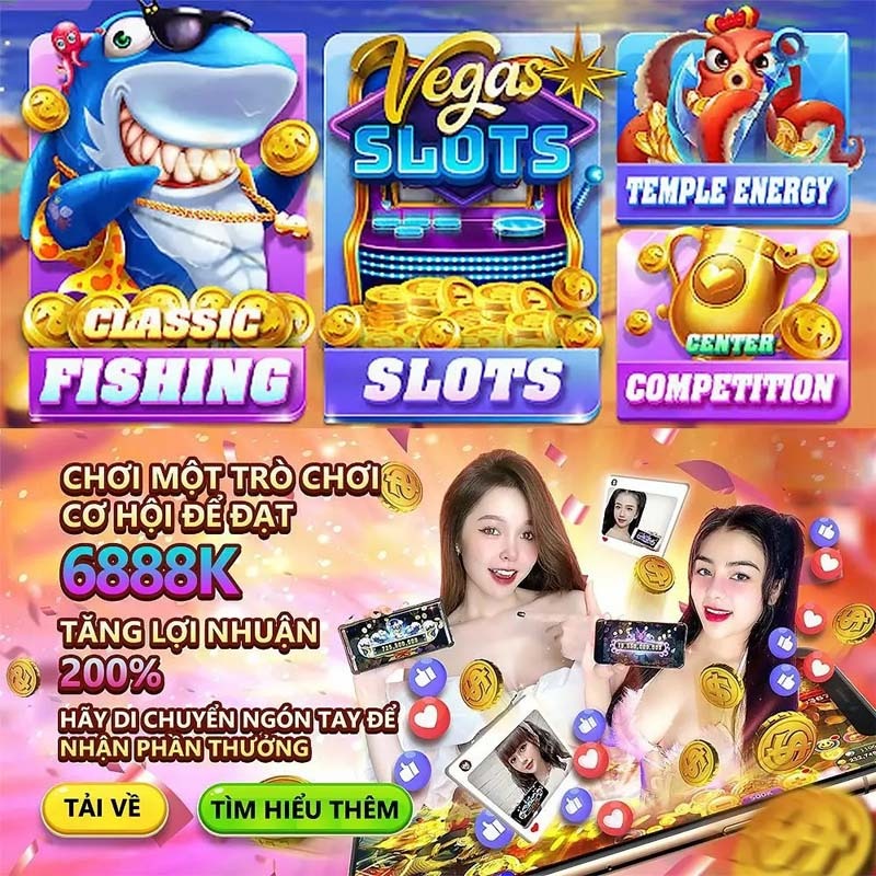 xin88
