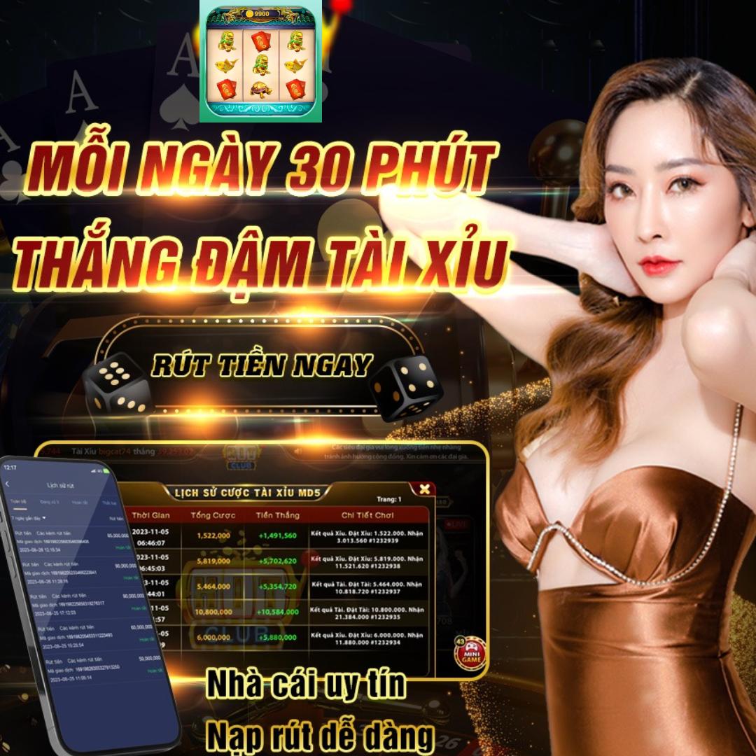 xin88