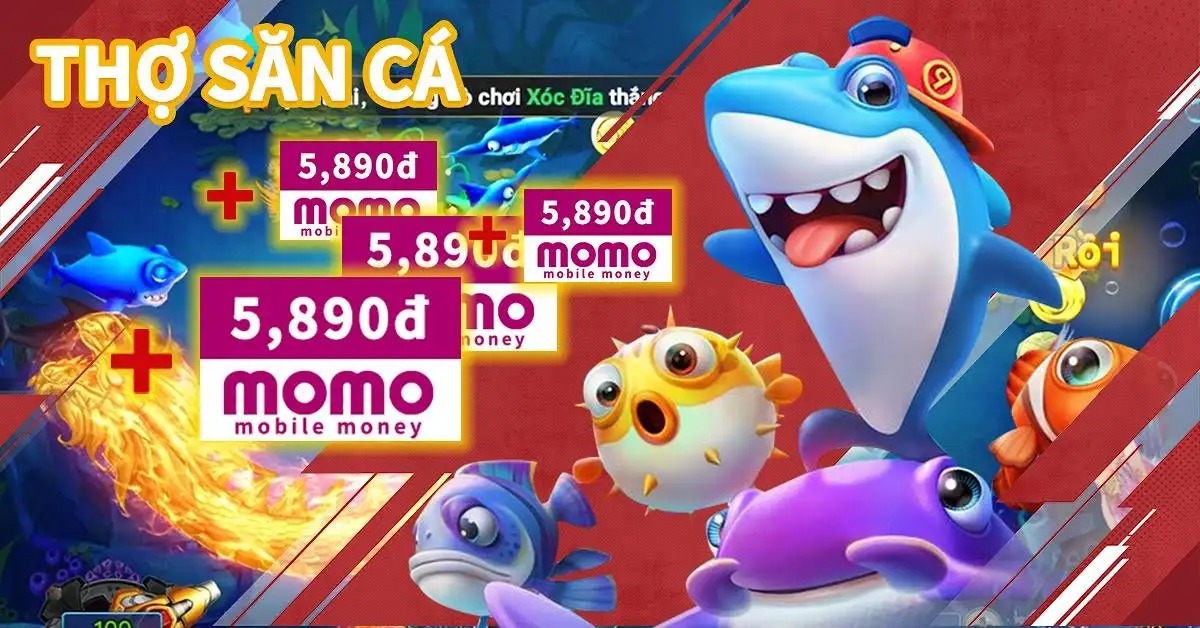 xin88