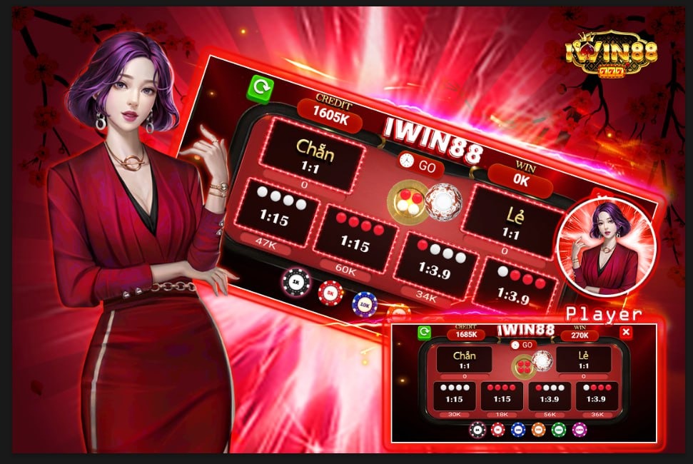 xin88