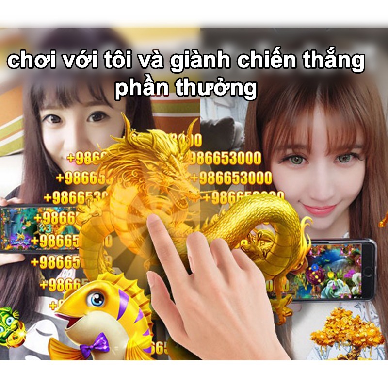 xin88