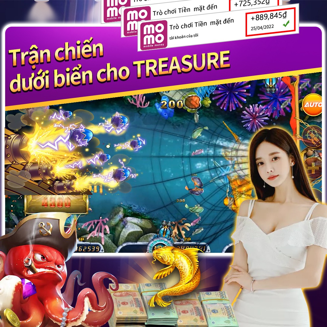 xin88